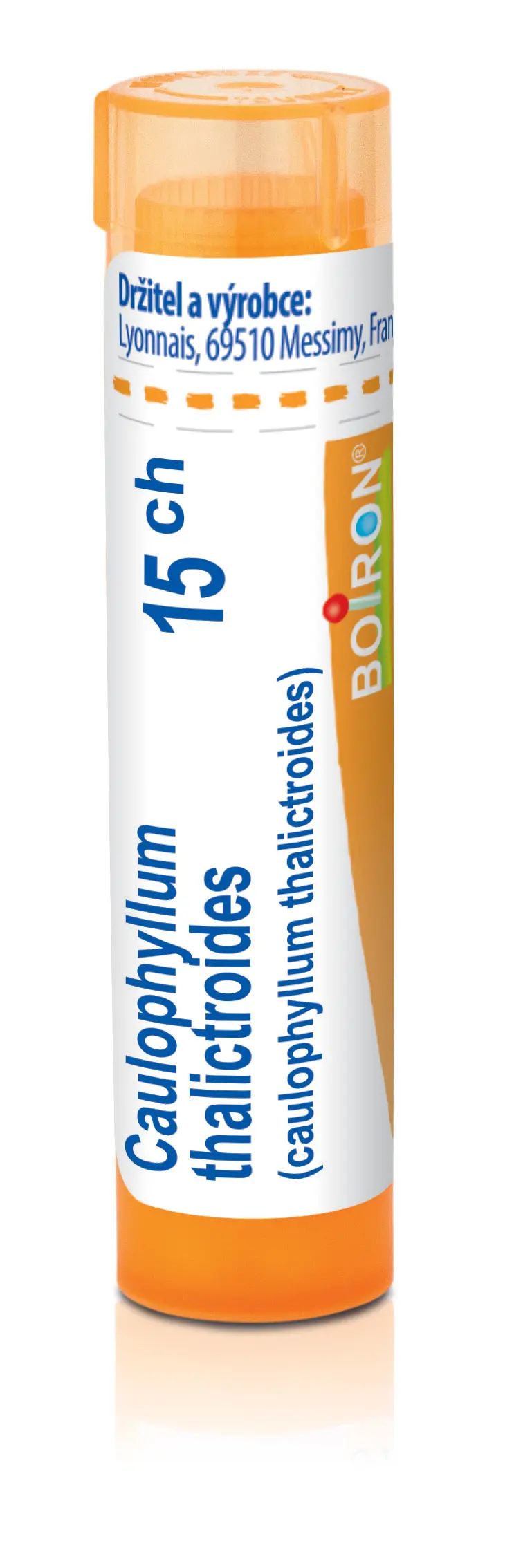 4646_CAULOPHYLLUM THALICTROIDES 15